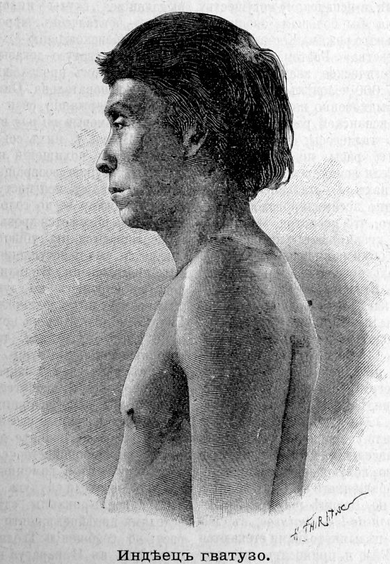 521 Индеец гватузо